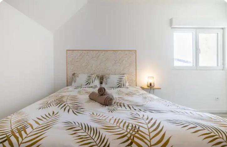 Apartment T4